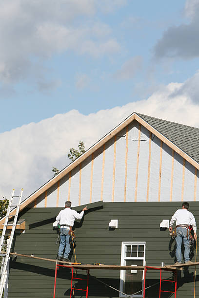 Best Custom Trim and Detailing for Siding  in , DE